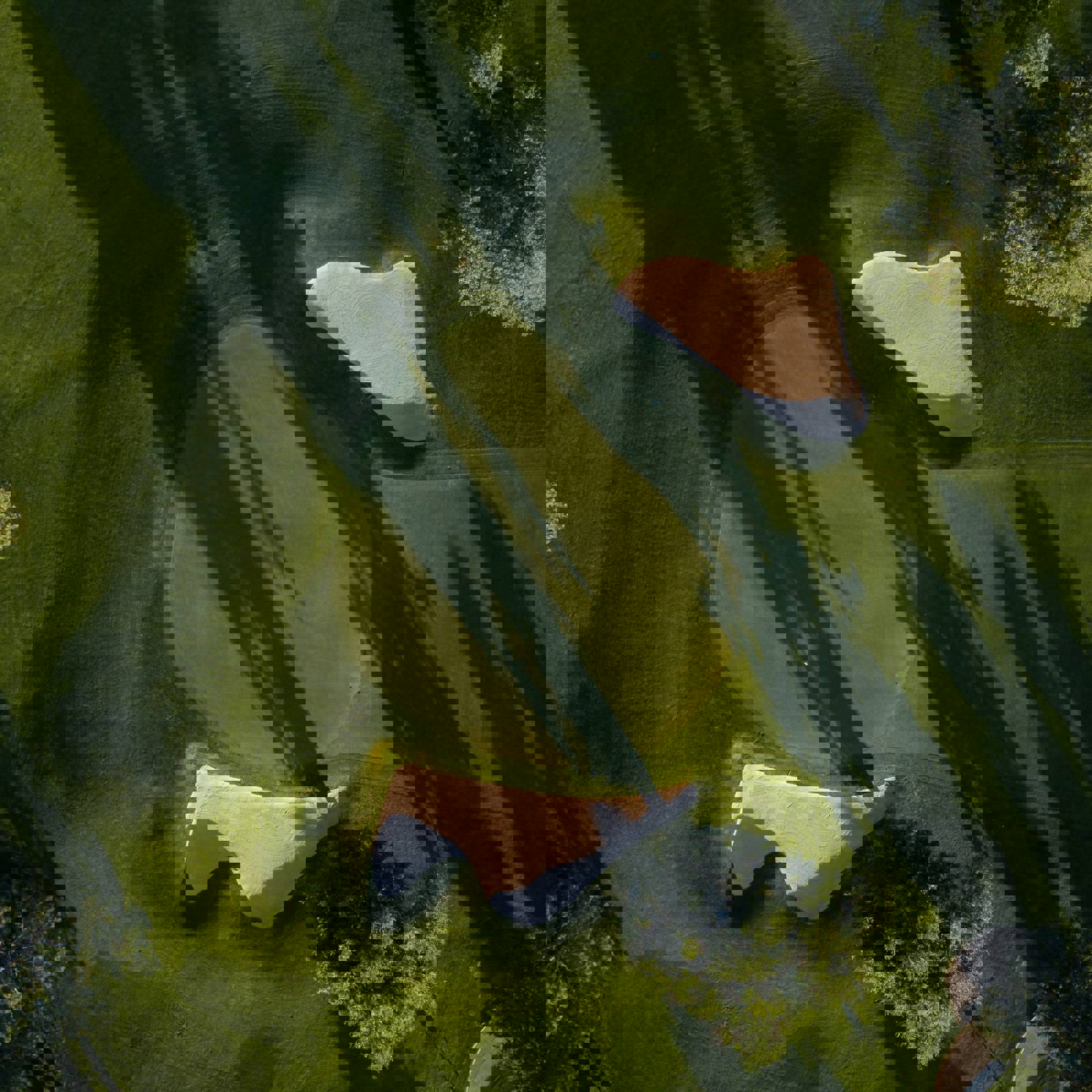 Allan Nygren Xvkquntohi Unsplash(1)