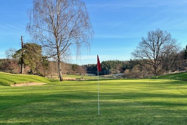 Vintergreener från måndag den 10 november