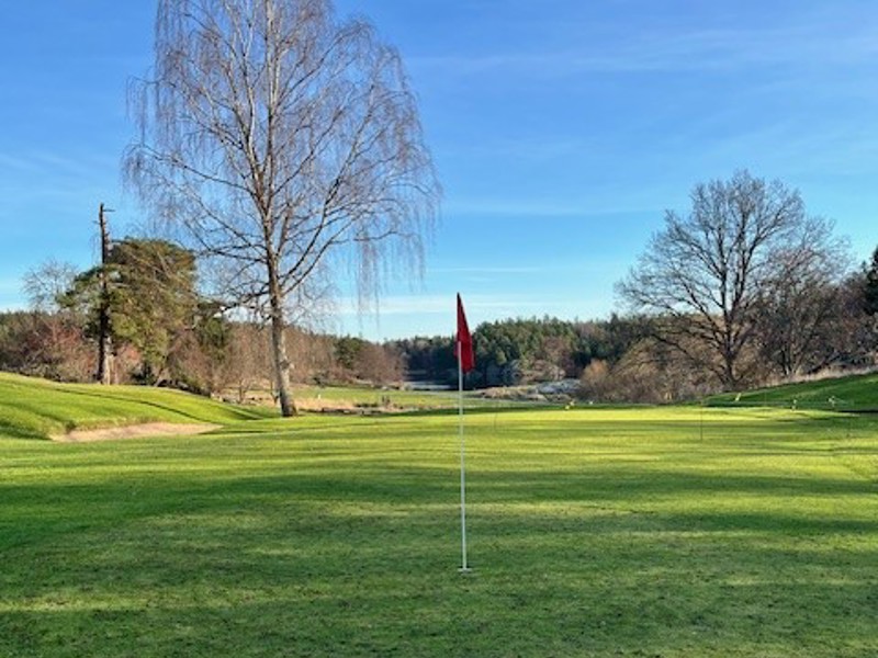 Vintergreener från måndag den 10 november