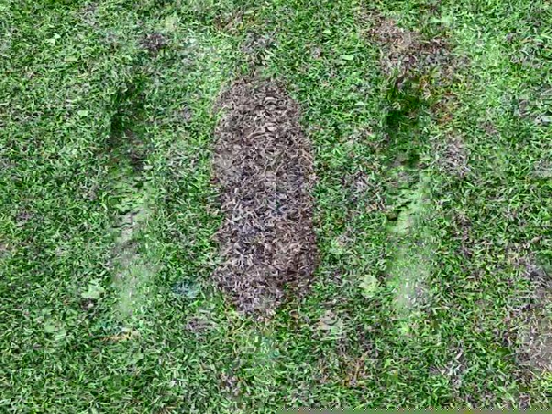 Lägg tillbaka torv och laga nedslagsmärken