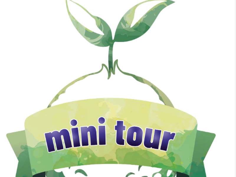 SGDF Mini Tour - för juniorer 16 år eller yngre