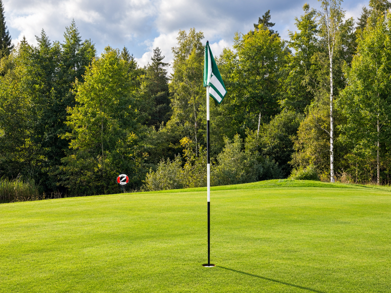 Hjälp klubben att hämta green-gräs