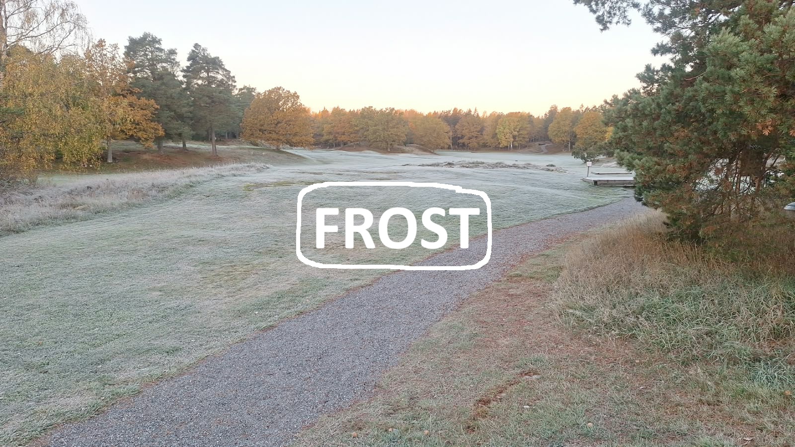 Frost 2026 10 18
