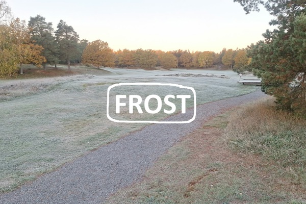 Frost