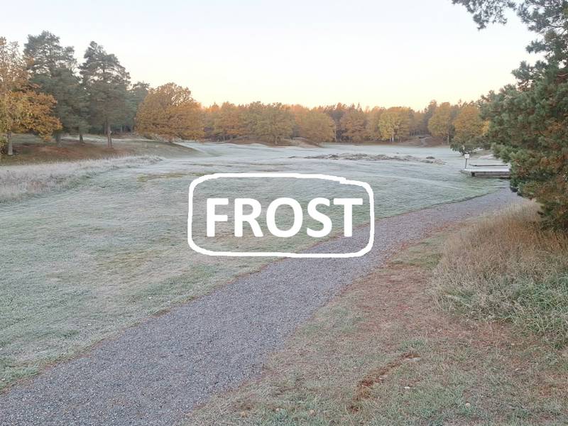 Frost 2026 10 18
