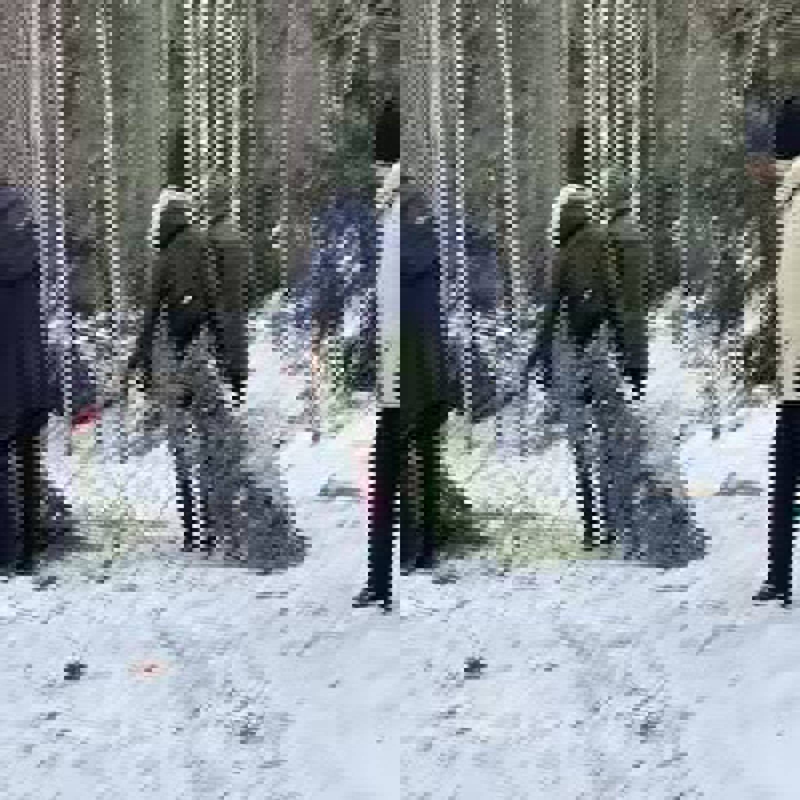 Damer Vinter Tisdagsgrupp