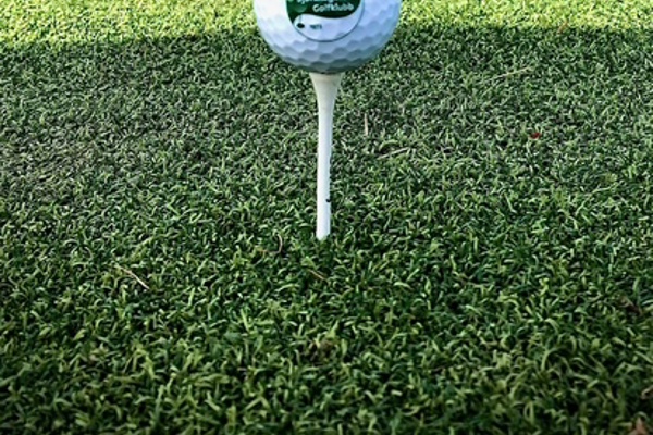 Greenfee betalas alltid innan spel!