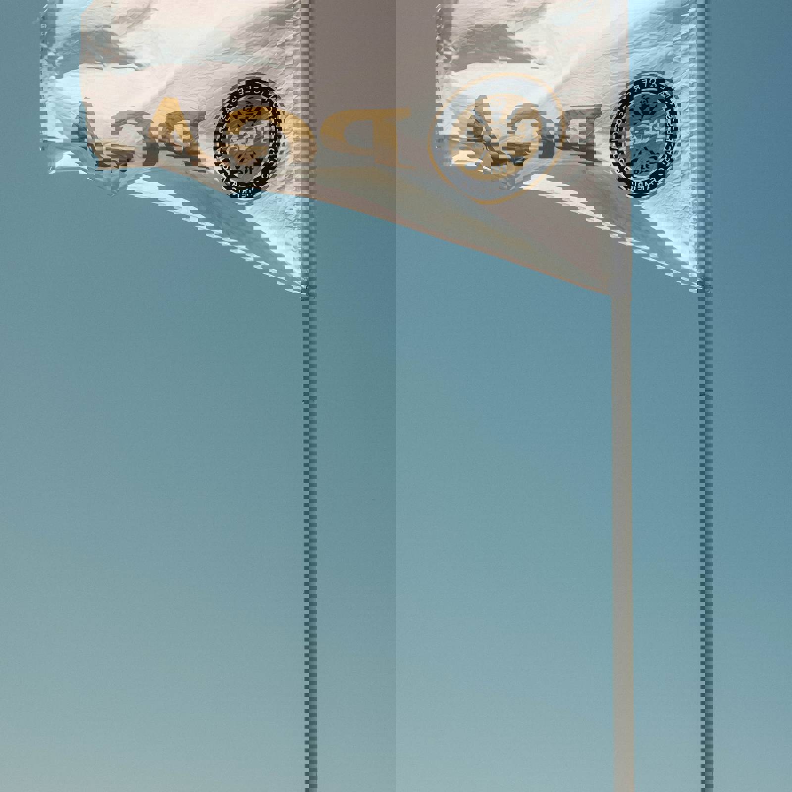 Andrew Shelley Sfrbtrocsvq Unsplash