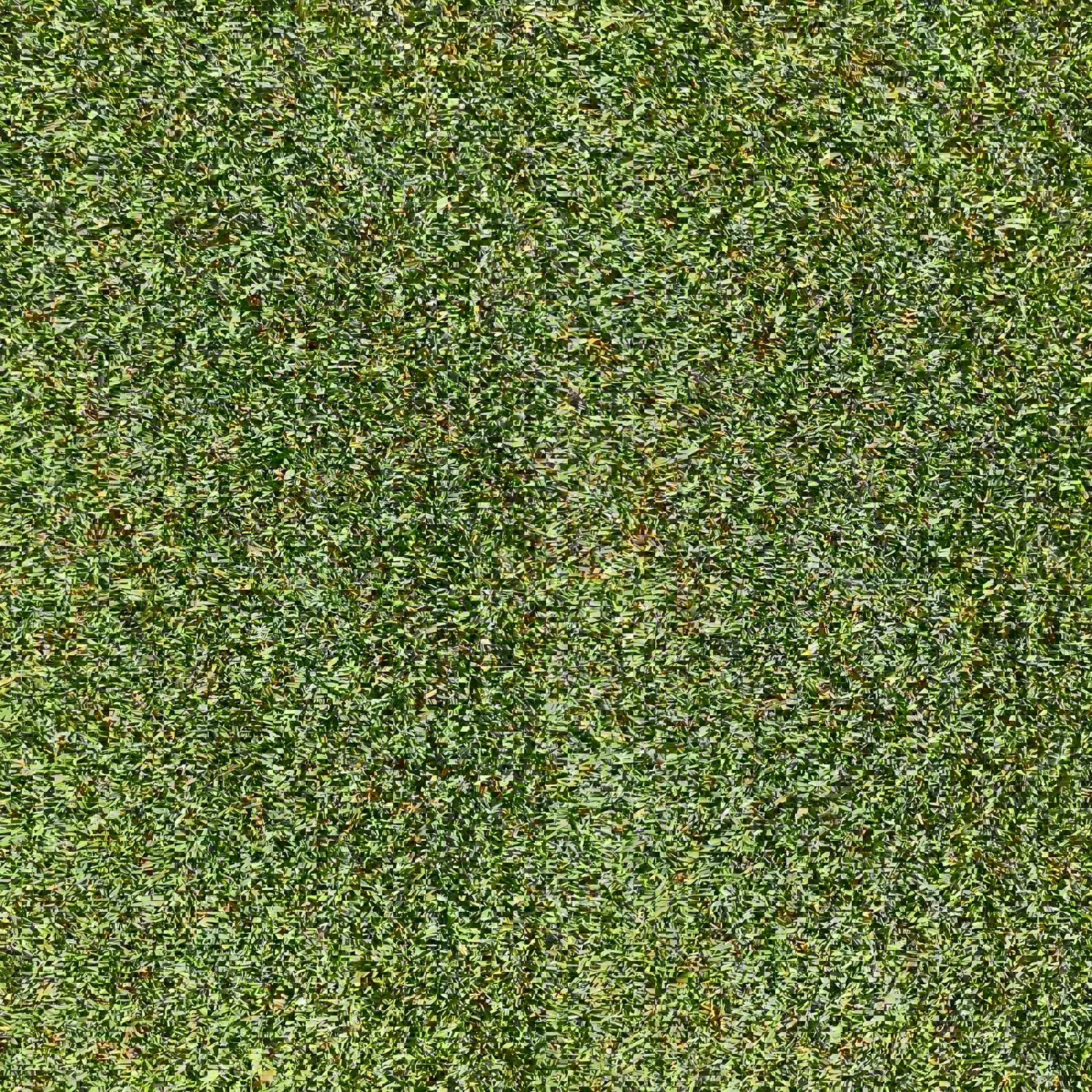 Arthur Guiot Pxpvh7e85s4 Unsplash