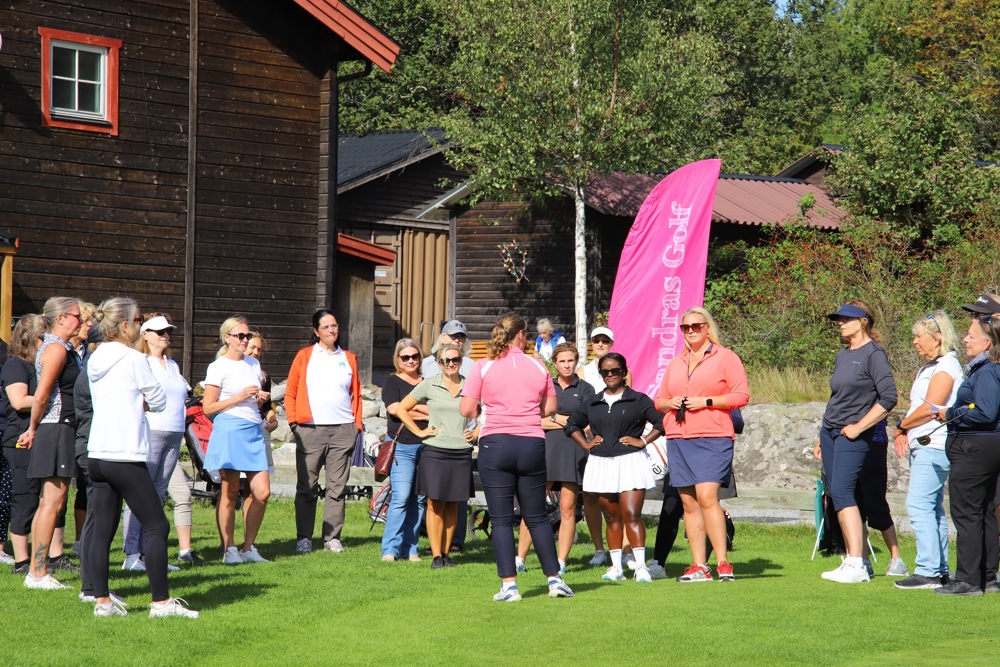 Samling Sandra Sep2026